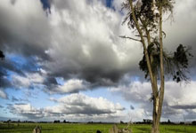 强队争霸，胜者至尊