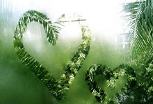 巴基斯坦选手受伤坚持完赛