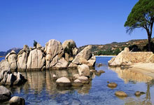 体育竞技中的巾帼力量：女足球员为每一场胜利而战