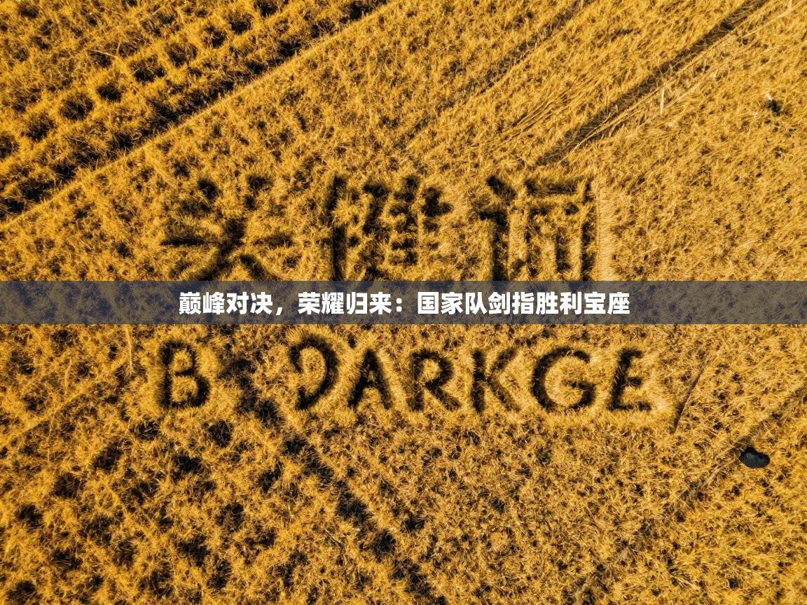 巅峰对决,荣耀归来:国家队剑指胜利宝座 第2张